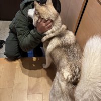 アイリスちゃん