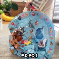 「それ何！？」とビビり気味の2匹