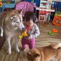ロッキーくんと赤ちゃんの音楽会5