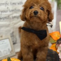 まるでモデルみたい♡