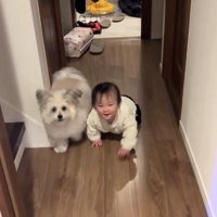 廊下をこちらへ向かってくる犬と赤ちゃん