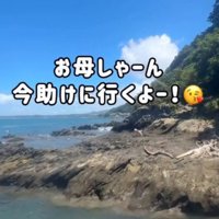 道なりに沿って女性の方へ歩いていく犬