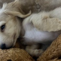 お迎え