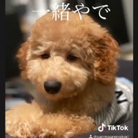 寝るときだって一緒