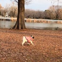 前を向き直す鱈ちゃん