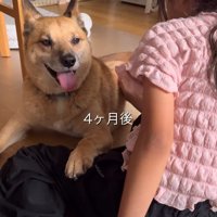 無理矢理触ったりしないよ