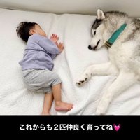 男の子にくっつく星凪くん2