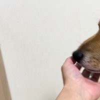 思い出は心に残り続ける