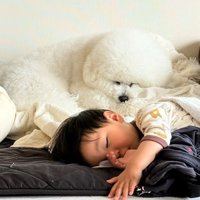 一緒に寝るふたり