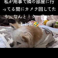 一旦ひとやすみ