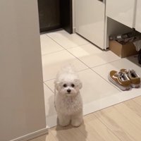 「ひとごとだなぁ」