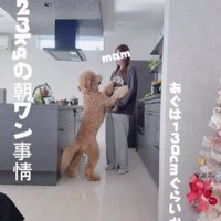 ママに抱っこをおねだり