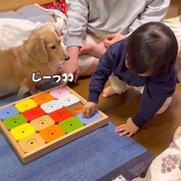 レオンくんは待機中