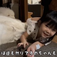相思相愛