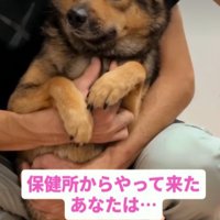 とにかく怯えるあんちゃん