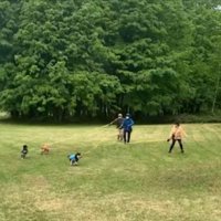 公園