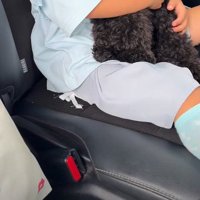 女の子の行き渋りに…