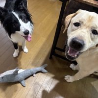 仲良し