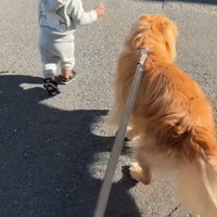 弟くんが歩けるように