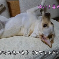お目目キラーン