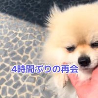 ますお君の熱烈歓迎⑩