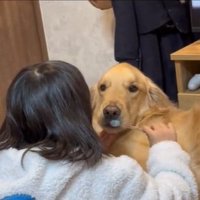 歯ブラシを持つ娘さん
