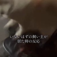 「なんでこんなところに！！」