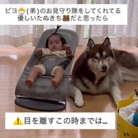子守りは君に任せた！！
