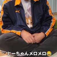 男性のジャージの中に入る子犬