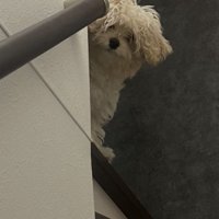 「おかえり！」