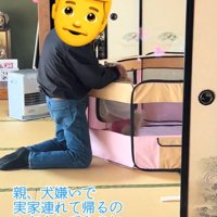 優しく撫でるお父さん