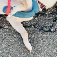 通りすがりの人と会話中…