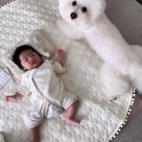 生まれて間もない赤ちゃんと小型犬