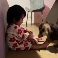 犬用のお菓子！！