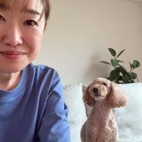 飼い主を見つめる小型犬