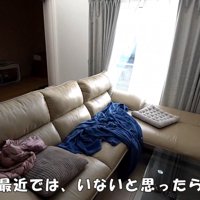 ペコちゃんの賢い行動2