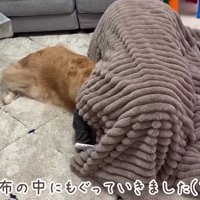 食べられちゃった！？