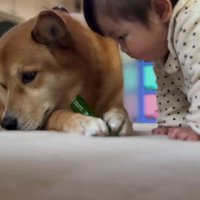 福ちゃんとも変わらず仲良し