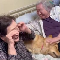 微笑ましいワンシーンでした