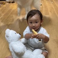 まるで狩りをしているかのよう