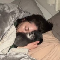 仰向けで寝るみるくちゃん