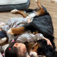 ベルちゃんの耳を触る娘さん