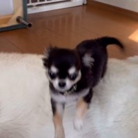 大きくジャンプ！！