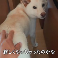 ものすごく寂しかったようです