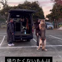 直前でブレーキ！！