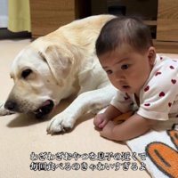 仲良しな2人なのでした♡