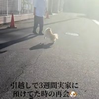 1回転するサニーくん