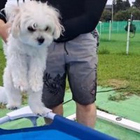 1年ぶり