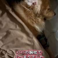 夜は疲れてぐっすり♪