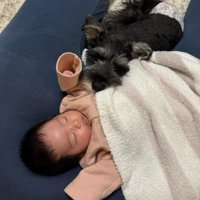 いつも赤ちゃんのそばに